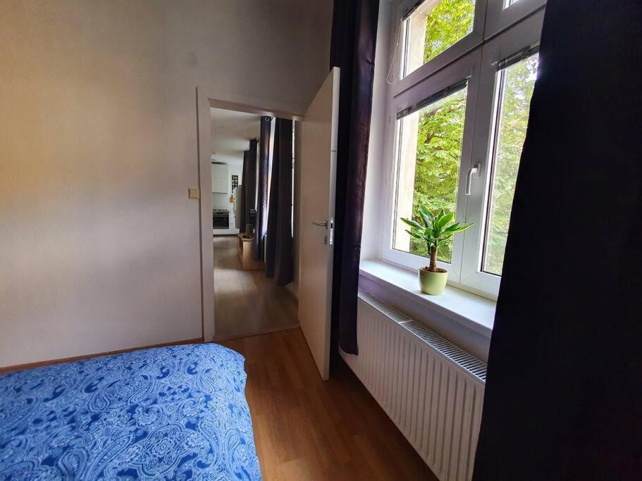 Lovely & Unique Apt In The Historic Center. Братислава Екстер'єр фото